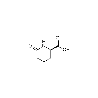 (R)-6-Oxopiperidine-2-carboxylic acid