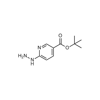 tert-Butyl 6-hydrazinylnicotinate