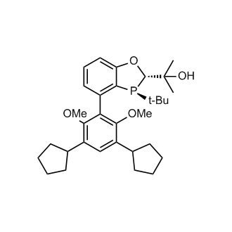 (S,S)-BaryPhos