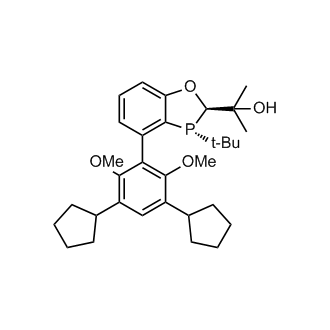 (R,R)-BaryPhos