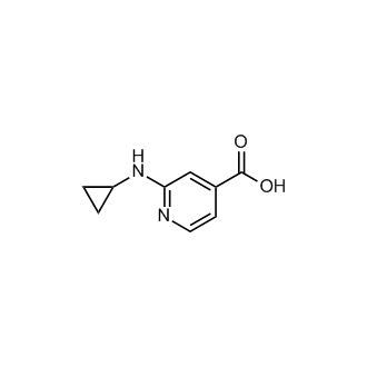 2-(Cyclopropylamino)isonicotinic acid