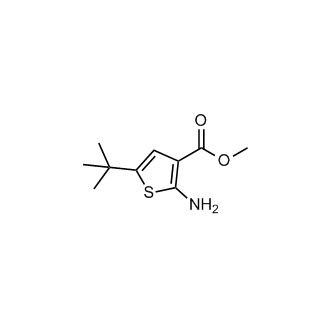 Methyl 2-amino-5-(tert-butyl)thiophene-3-carboxylate