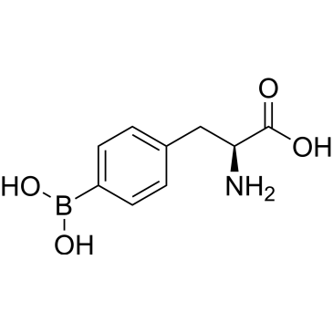L-p-Boronophenylalanine