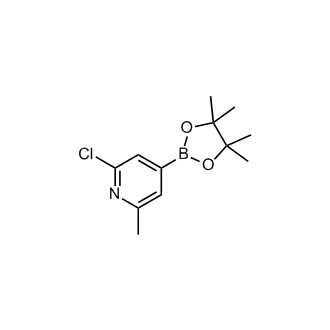 2-Chloro-6-methyl-4-(4,4,5,5-tetramethyl-1,3,2-dioxaborolan-2-yl)pyridine
