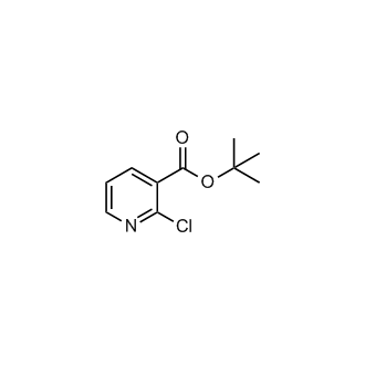 tert-Butyl 2-chloronicotinate