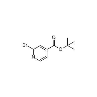 tert-Butyl 2-bromoisonicotinate