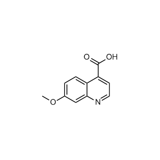 7-Methoxyquinoline-4-carboxylic acid