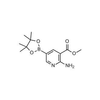 Methyl 2-amino-5-(4,4,5,5-tetramethyl-1,3,2-dioxaborolan-2-yl)nicotinate