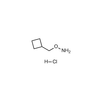 O-(Cyclobutylmethyl)hydroxylamine hydrochloride