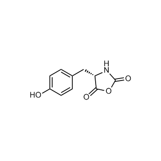 (S)-4-(4-Hydroxybenzyl)oxazolidine-2,5-dione