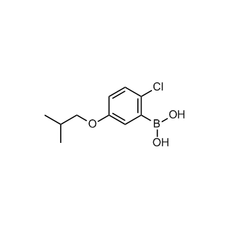 (2-Chloro-5-isobutoxyphenyl)boronic acid