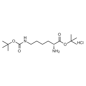 H-D-Lys(Boc)-OtBu.HCl