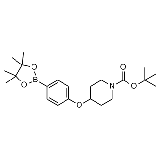 tert-Butyl 4-(4-(4,4,5,5-tetramethyl-1,3,2-dioxaborolan-2-yl)phenoxy)piperidine-1-carboxylate