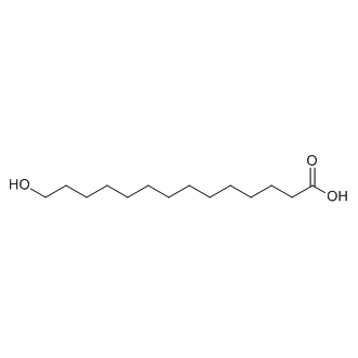 14-Hydroxytetradecanoic acid