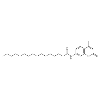 N-(4-Methyl-2-oxo-2h-chromen-7-yl)palmitamide