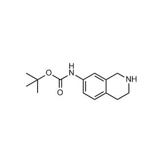 (1,2,3,4-Tetrahydro-isoquinolin-7-yl)-carbamic acid tert-butyl ester