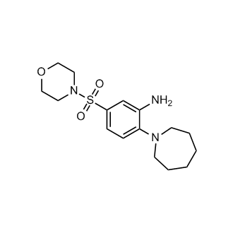 2-(Azepan-1-yl)-5-(morpholinosulfonyl)aniline