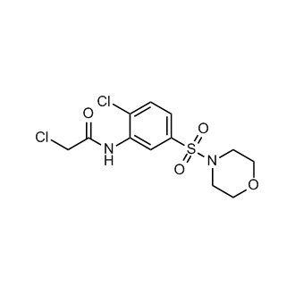 2-Chloro-N-(2-chloro-5-(morpholinosulfonyl)phenyl)acetamide
