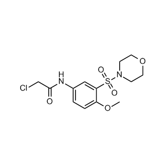 2-Chloro-N-(4-methoxy-3-(morpholinosulfonyl)phenyl)acetamide
