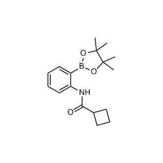 N-(2-(4,4,5,5-tetramethyl-1,3,2-dioxaborolan-2-yl)phenyl)cyclobutanecarboxamide