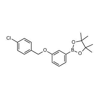 2-(3-((4-Chlorobenzyl)oxy)phenyl)-4,4,5,5-tetramethyl-1,3,2-dioxaborolane