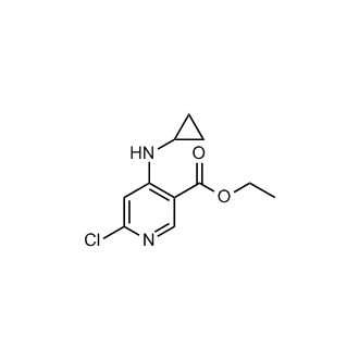 Ethyl 6-chloro-4-(cyclopropylamino)nicotinate