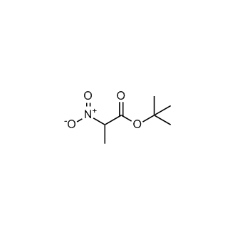 tert-Butyl 2-nitropropanoate