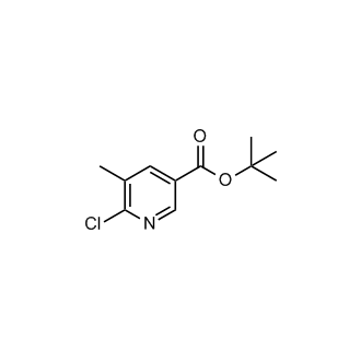 tert-Butyl 6-chloro-5-methylnicotinate