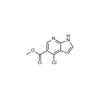 Methyl 4-chloro-7-azaindole-5-carboxylate