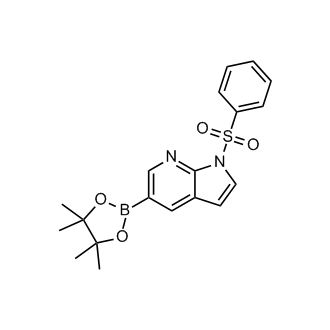 1-(Phenylsulfonyl)-5-(4,4,5,5-tetramethyl-1,3,2-dioxaborolan-2-yl)-1H-pyrrolo[2,3-b]pyridine
