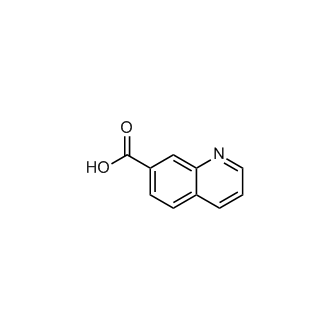 7-Quinolinecarboxylic acid