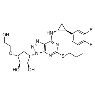 (1R,2R,3S,5R)-3-(7-(((1R,2S)-2-(3,4-difluorophenyl)cyclopropyl)amino)-5-(propylthio)-3H-[1,2,3]triazolo[4,5-d]pyrimidin-3-yl)-5-(2-hydroxyethoxy)cyclopentane-1,2-diol