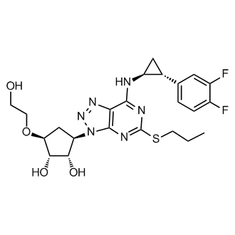 (1S,2S,3R,5S)-3-(7-(((1S,2R)-2-(3,4-difluorophenyl)cyclopropyl)amino)-5-(propylthio)-3H-[1,2,3]triazolo[4,5-d]pyrimidin-3-yl)-5-(2-hydroxyethoxy)cyclopentane-1,2-diol