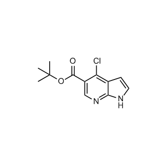 tert-butyl 4-chloro-1H-pyrrolo[2,3-b]pyridine-5-carboxylate