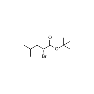 tert-Butyl (R)-2-bromo-4-methylpentanoate