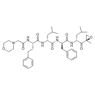 (R)-4-methyl-N-((R)-1-(((R)-4-methyl-1-((R)-2-methyloxiran-2-yl)-1-oxopentan-2-yl)amino)-1-oxo-3-phenylpropan-2-yl)-2-((S)-2-(2-morpholinoacetamido)-4-phenylbutanamido)pentanamide