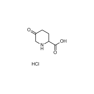 5-oxopiperidine-2-carboxylic acid hydrochloride