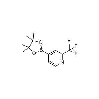 2-(Trifluoromethyl)pyridine-4-boronic acid pinacol ester