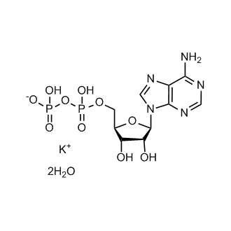Adenosine 5'-diphosphate (monopotassium salt dihydrate)