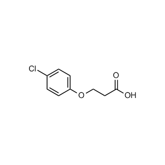 3-(4-Chlorophenoxy)propanoic acid