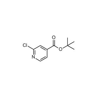 tert-Butyl 2-chloroisonicotinate