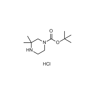 tert-Butyl 3,3-dimethylpiperazine-1-carboxylate hydrochloride