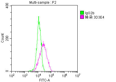 GST Monoclonal Antibody