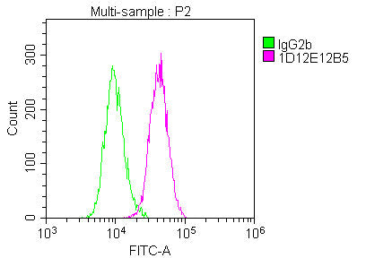ACTB Monoclonal Antibody