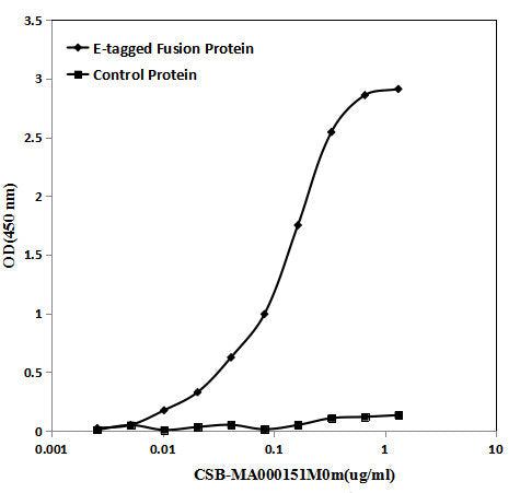 E-Tag Monoclonal Antibody