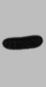 V5-Tag Monoclonal Antibody