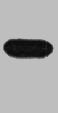 Myc-Tag Monoclonal Antibody