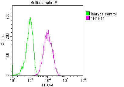CD63 Monoclonal Antibody