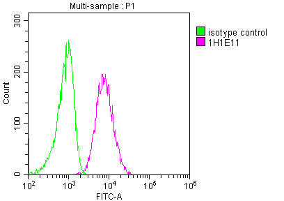 CD63 Monoclonal Antibody
