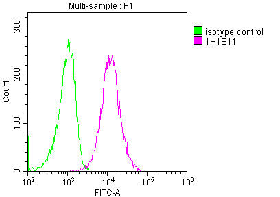 CD63 Monoclonal Antibody